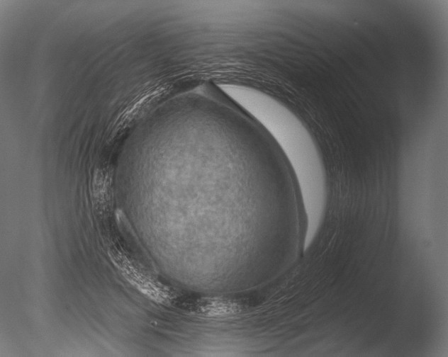 X0000085060601200703261207