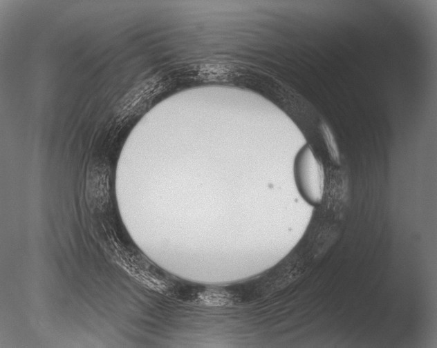 X0000085060603200703261207