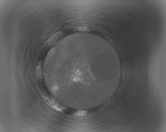 X0000085060609200703261207