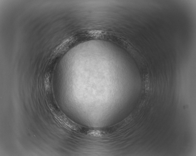X0000085060611200703261206