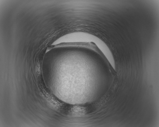 X0000085060617200703261206