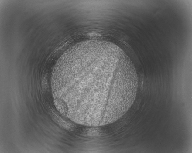 X0000085060618200703261206