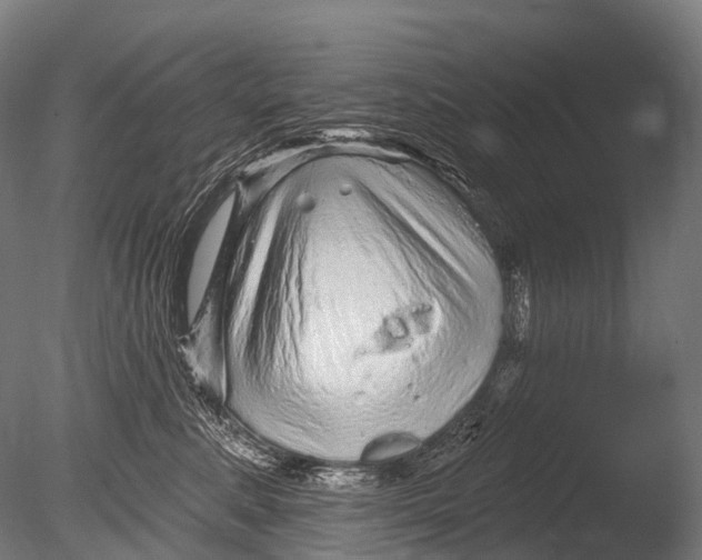 X0000085060619200703261206