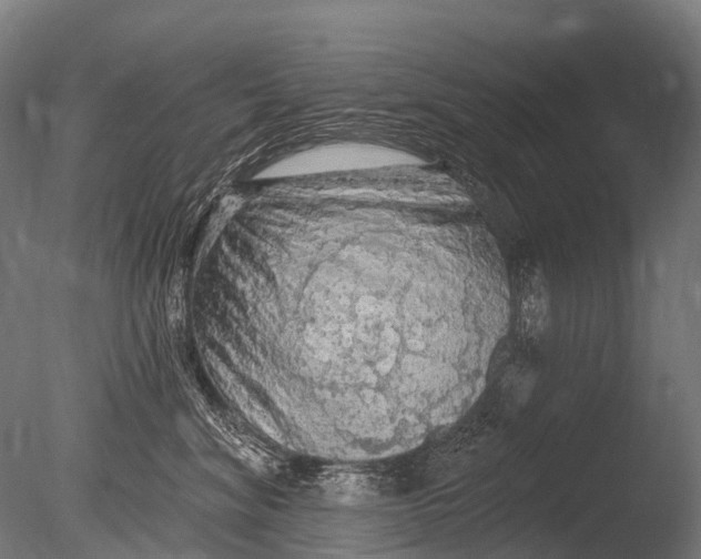 X0000085060620200703261206