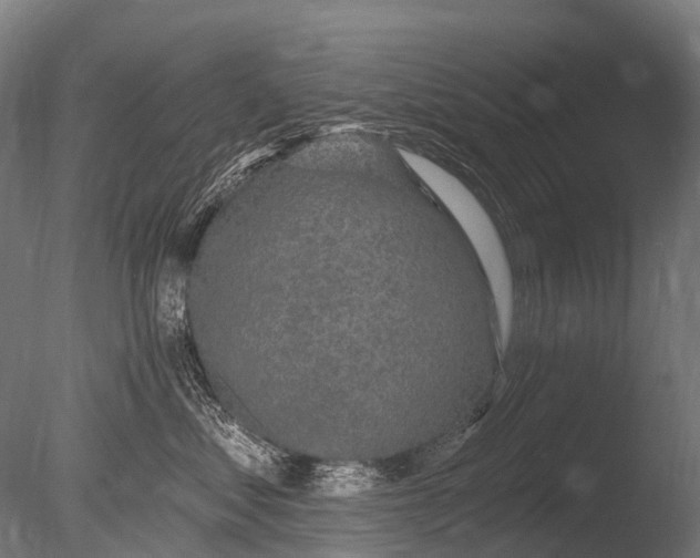 X0000085060621200703261206