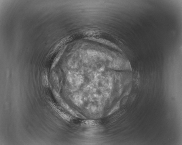 X0000085060622200703261206