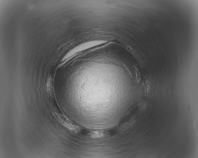 X0000085060623200703261206