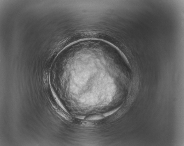 X0000085060624200703261206