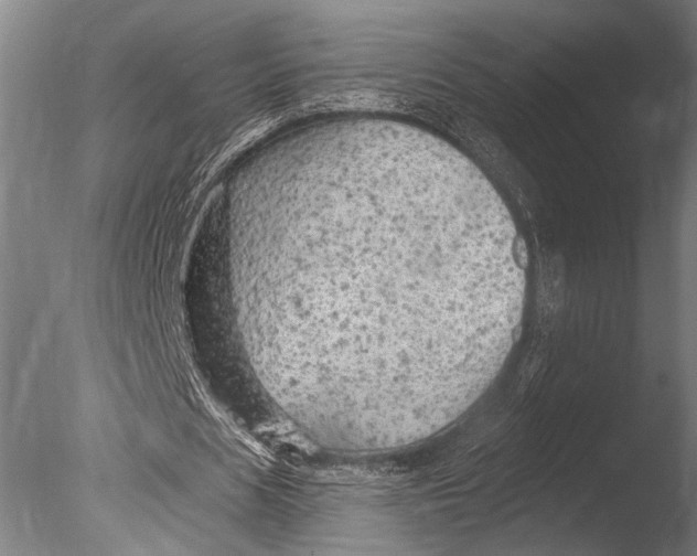 X0000085060625200703261205
