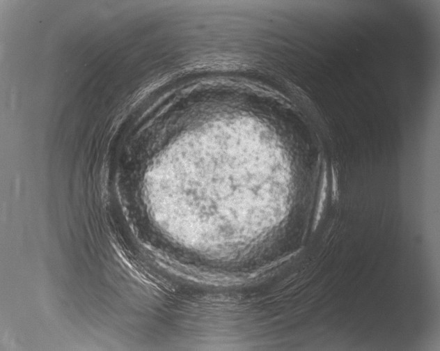 X0000085060627200703261205