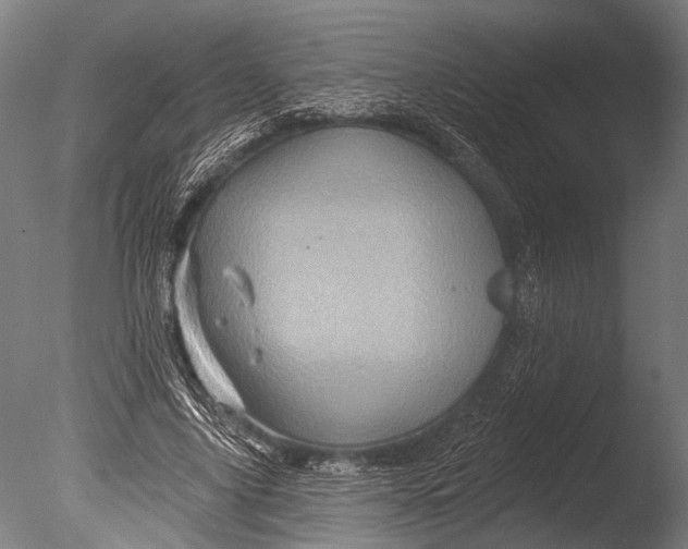 X0000085060635200703261206