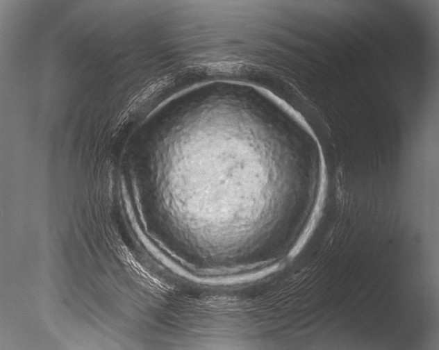 X0000085060637200703261206