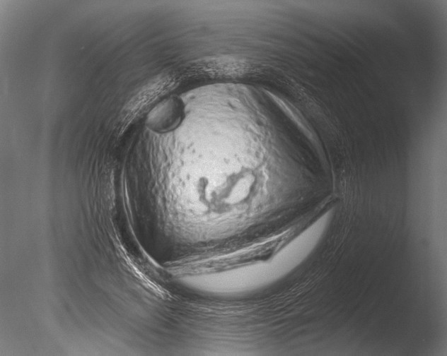X0000085060638200703261206