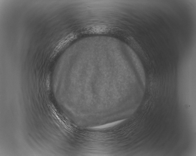 X0000085060640200703261206