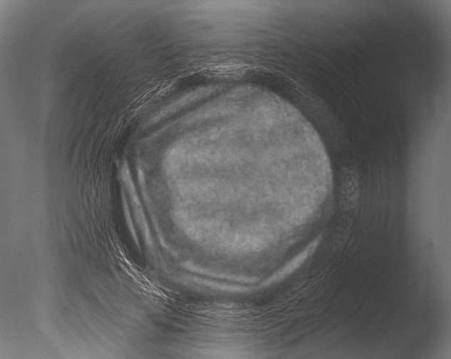 X0000085060641200703261206