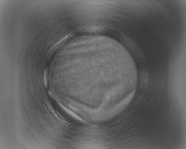 X0000085060644200703261206