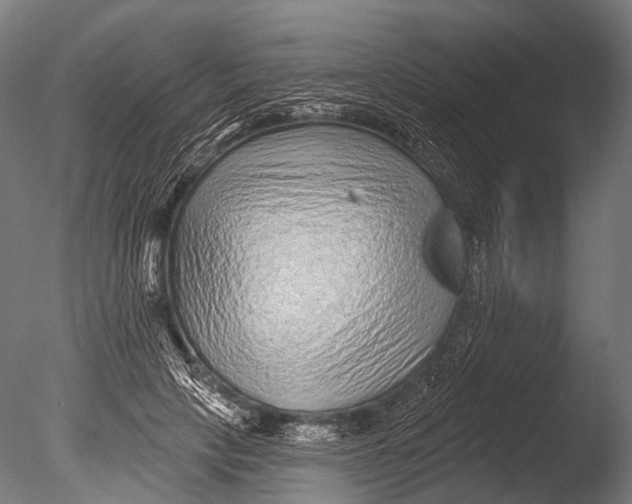 X0000085060649200703261206