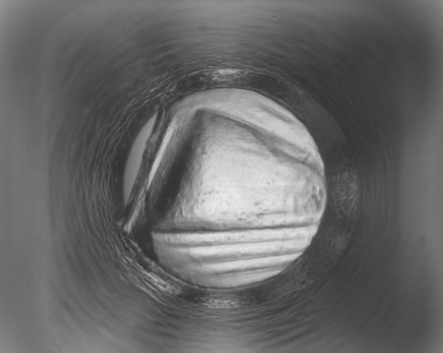 X0000085060653200703261206