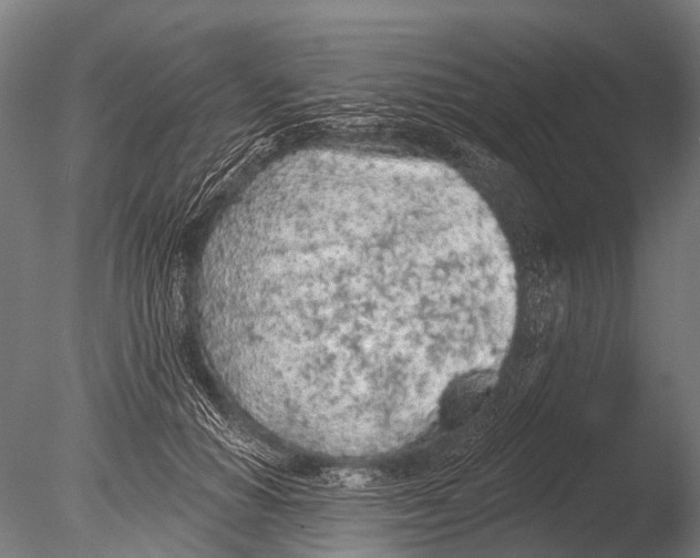 X0000085060654200703261206