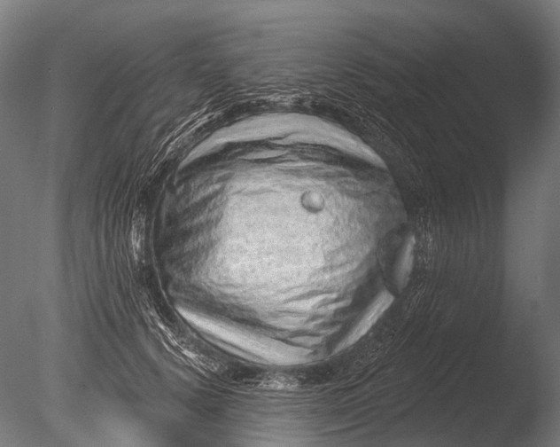 X0000085060656200703261206