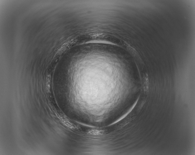 X0000085060664200703261206
