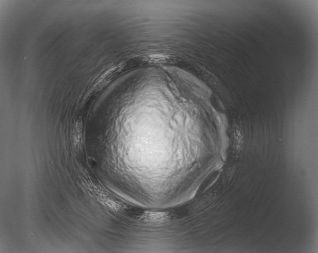 X0000085060665200703261206