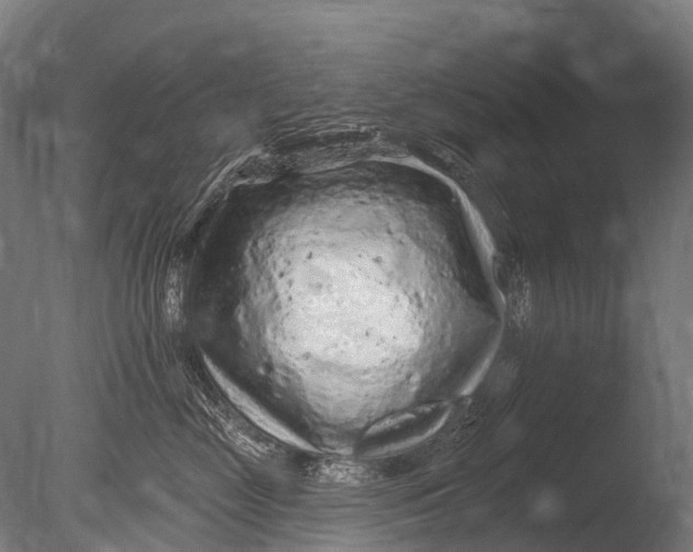 X0000085060669200703261206