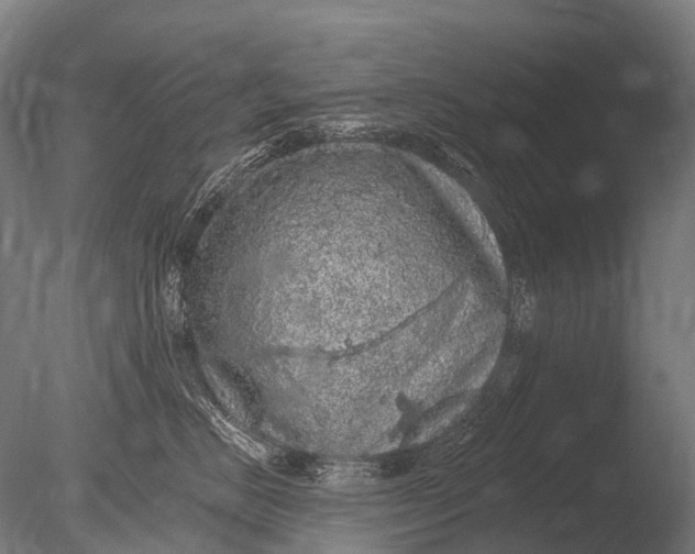 X0000085060670200703261206