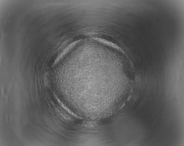 X0000085060671200703261206