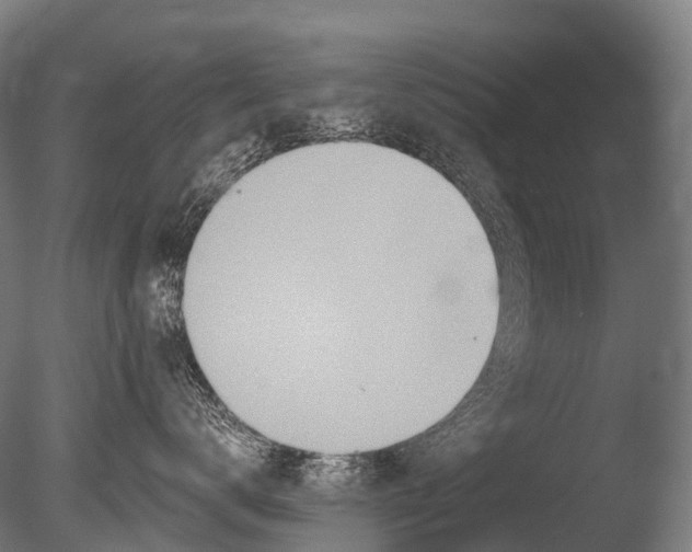 X0000085060672200703261206