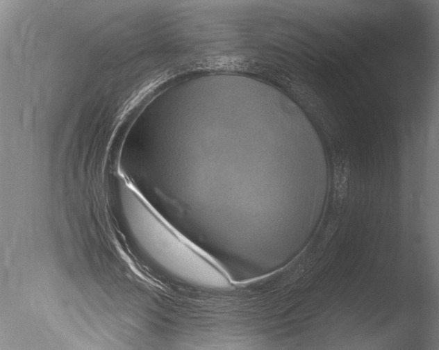 X0000085060674200703261205