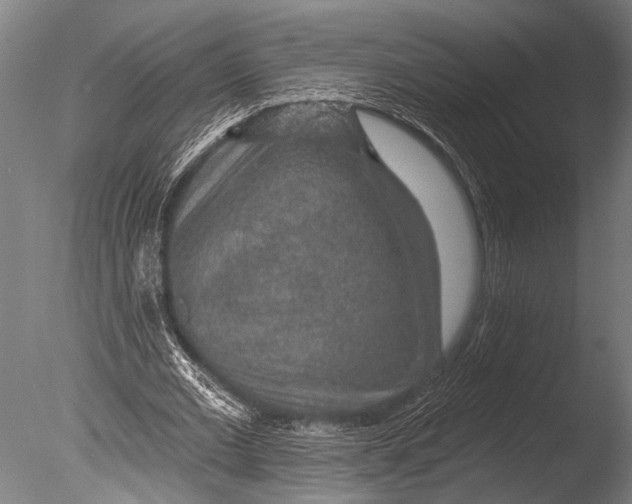 X0000085060677200703261205