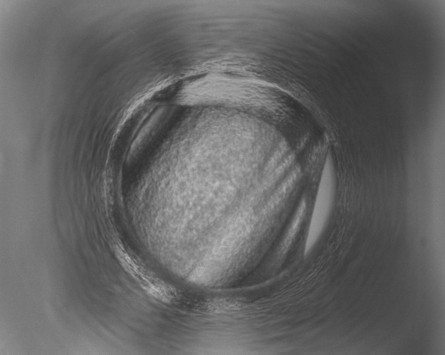 X0000085060680200703261205