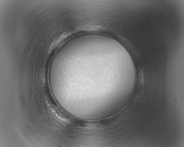 X0000085060682200703261205