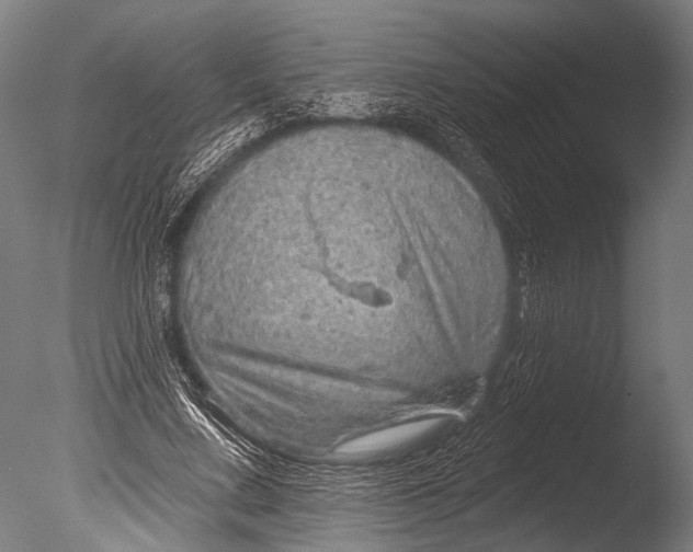 X0000085060683200703261205