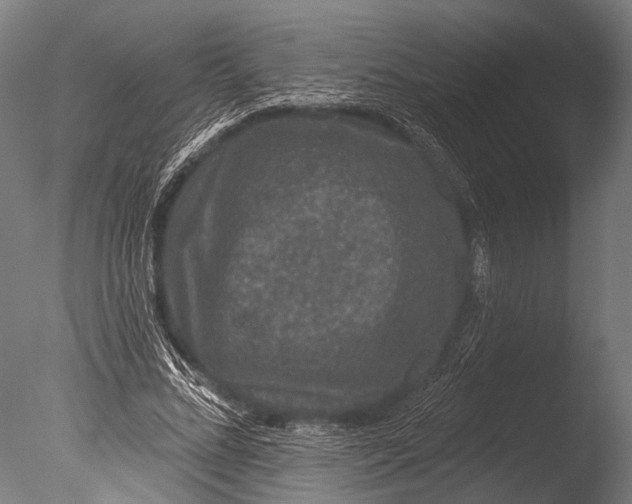 X0000085060684200703261205