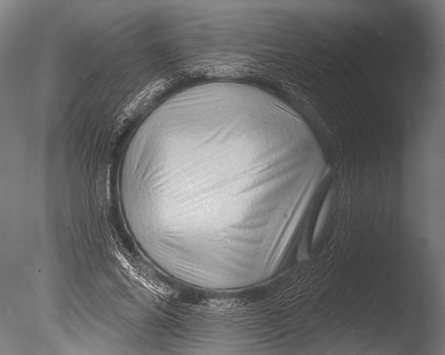 X0000085060686200703261205