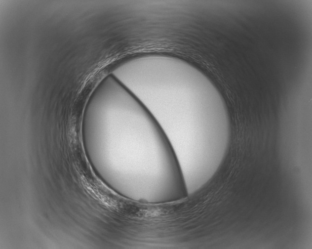X0000085060688200703261205