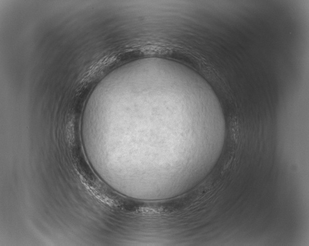 X0000085060690200703261205