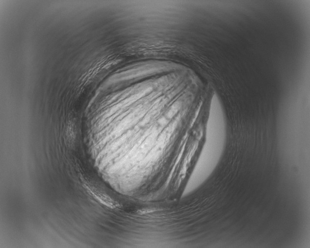 X0000085060691200703261205