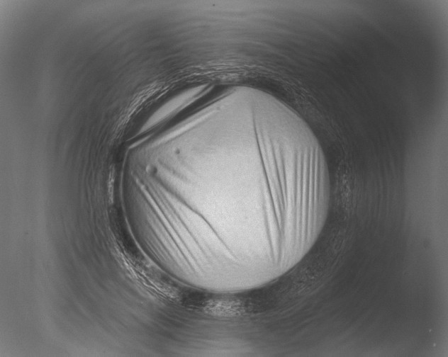 X0000085060694200703261205