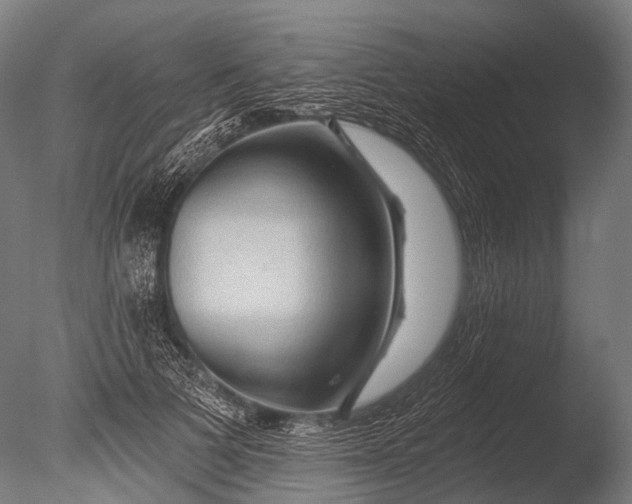 X0000085060697200703261205