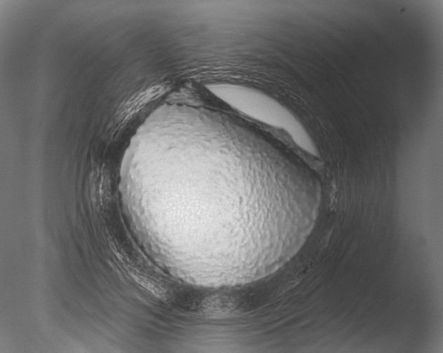 X0000085060700200703261205