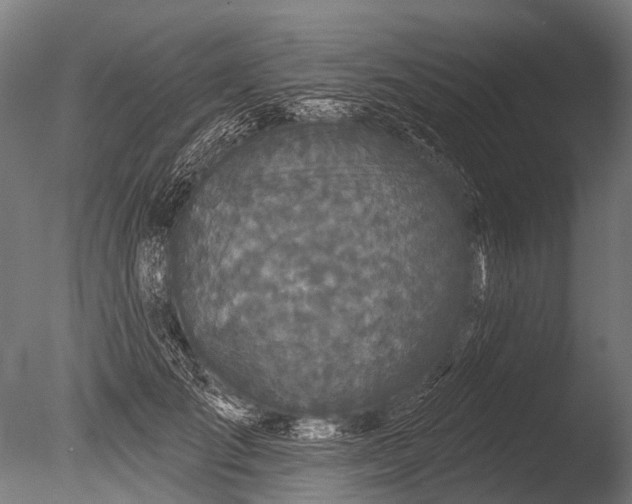 X0000085060701200703261205
