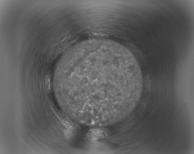 X0000085060703200703261205