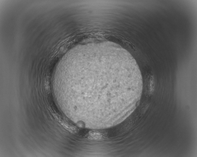 X0000085060706200703261205