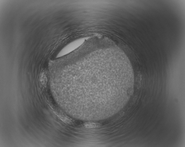 X0000085060707200703261205