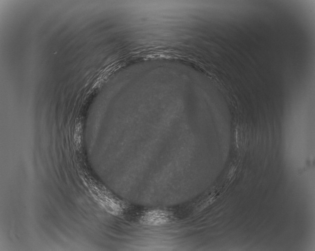 X0000085060708200703261205