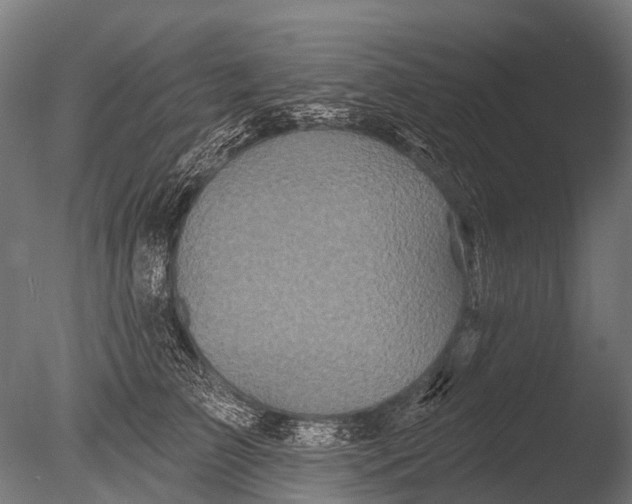 X0000085060709200703261205