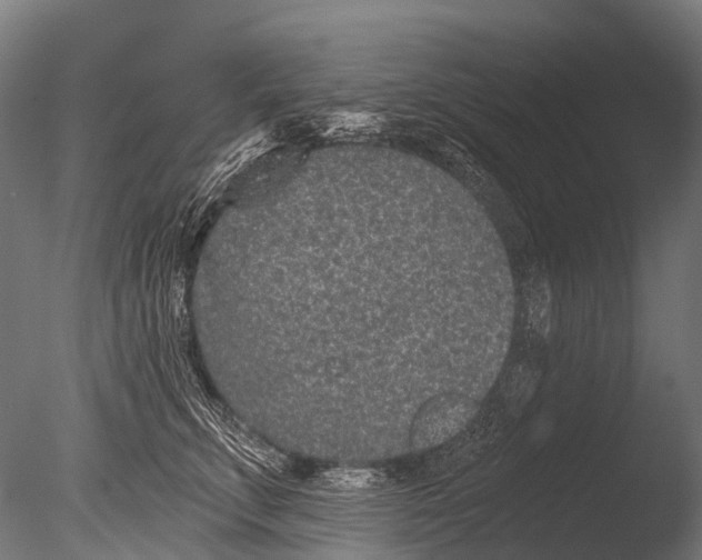 X0000085060711200703261205